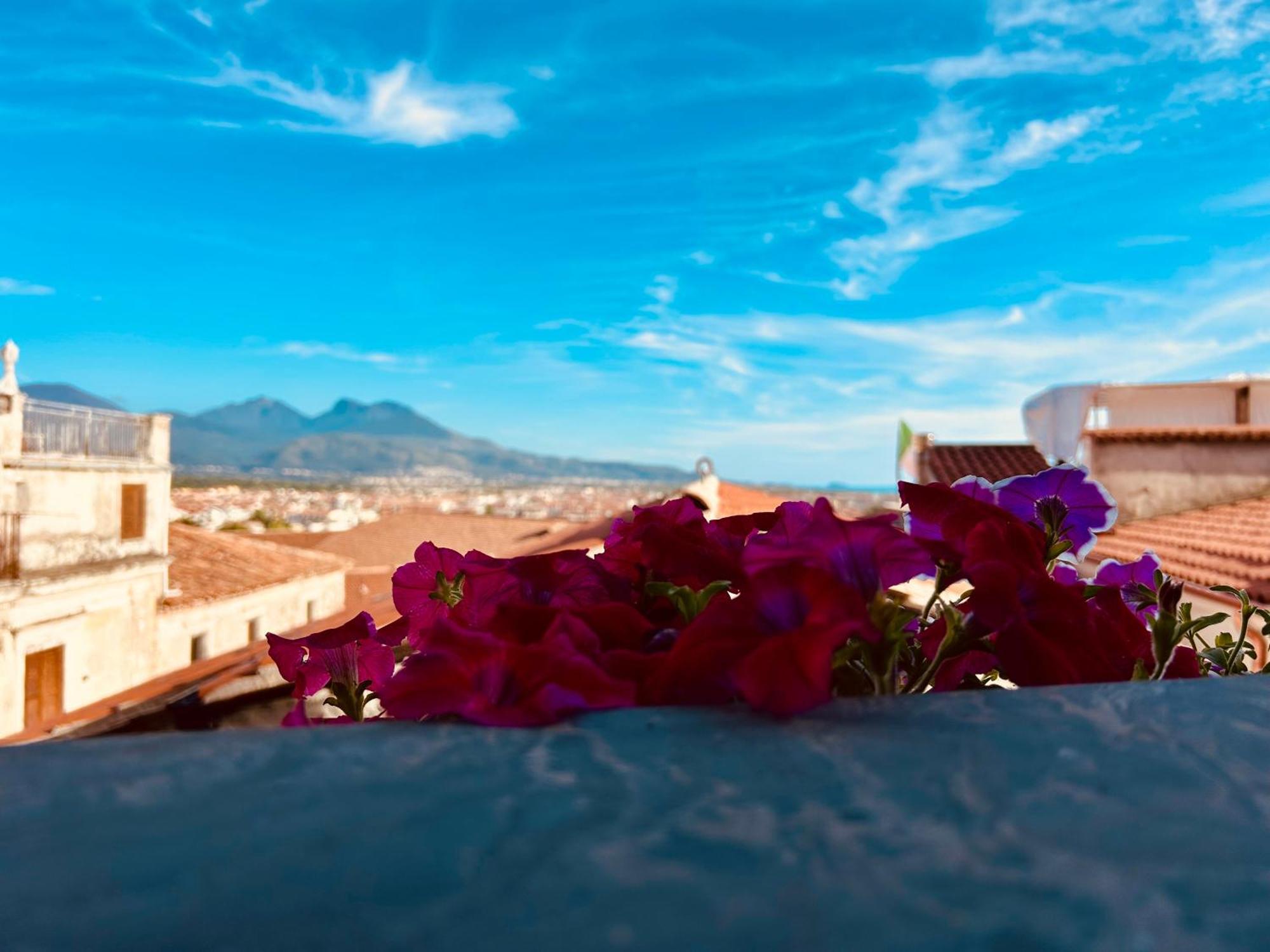 Casa Vacanze Irene Scalea Εξωτερικό φωτογραφία
